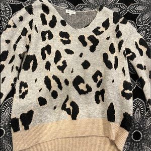leopard sweater